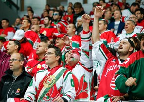 One of Hungarian team fans celebrates the goal. Photo: Andrey Basevich